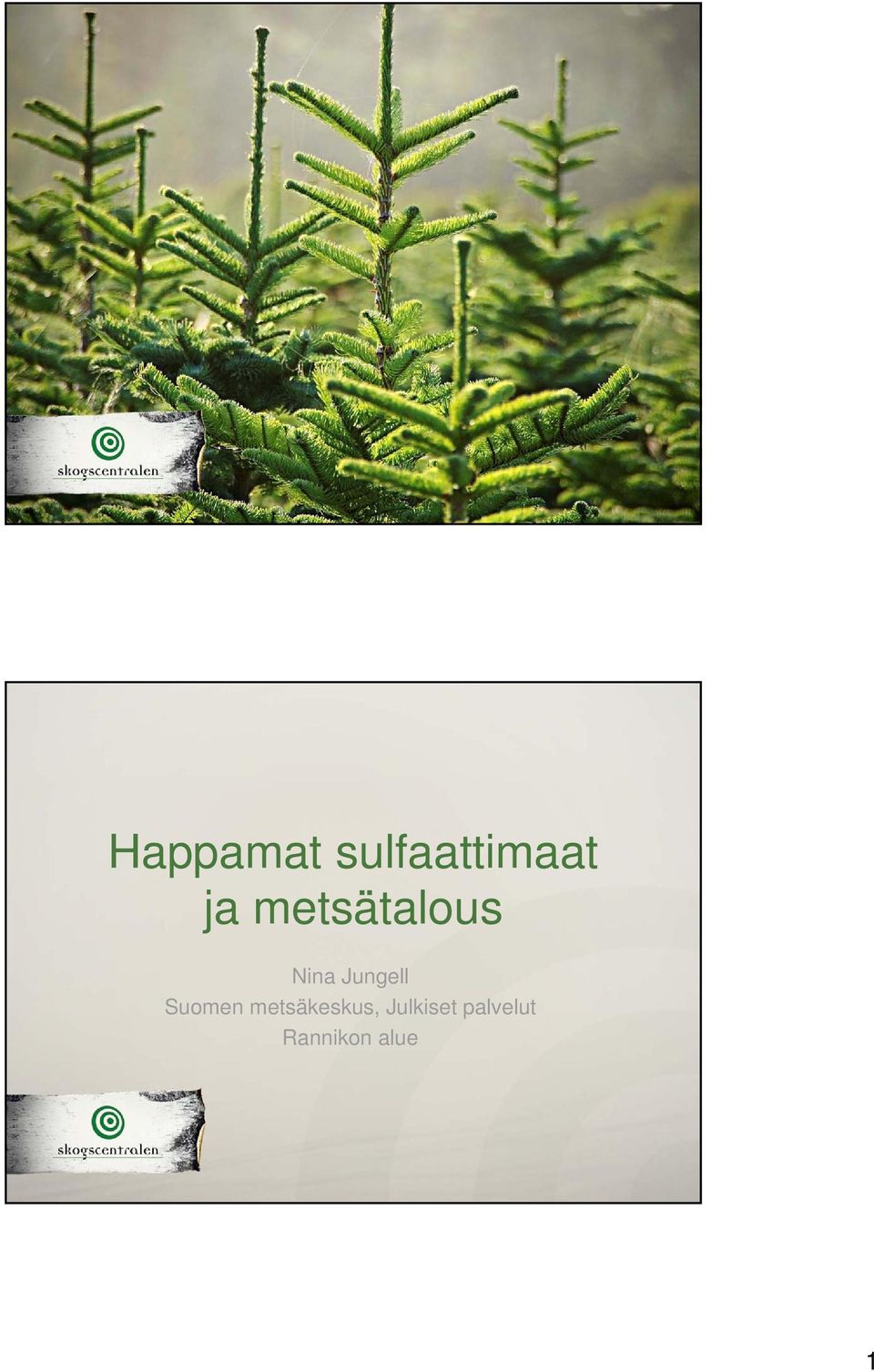 Suomen metsäkeskus,