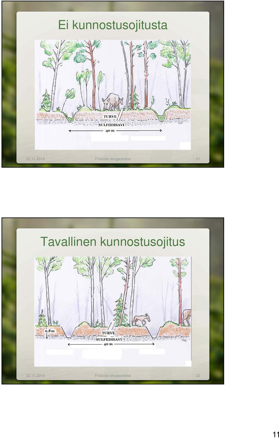 Tavallinen kunnostusojitus 22.