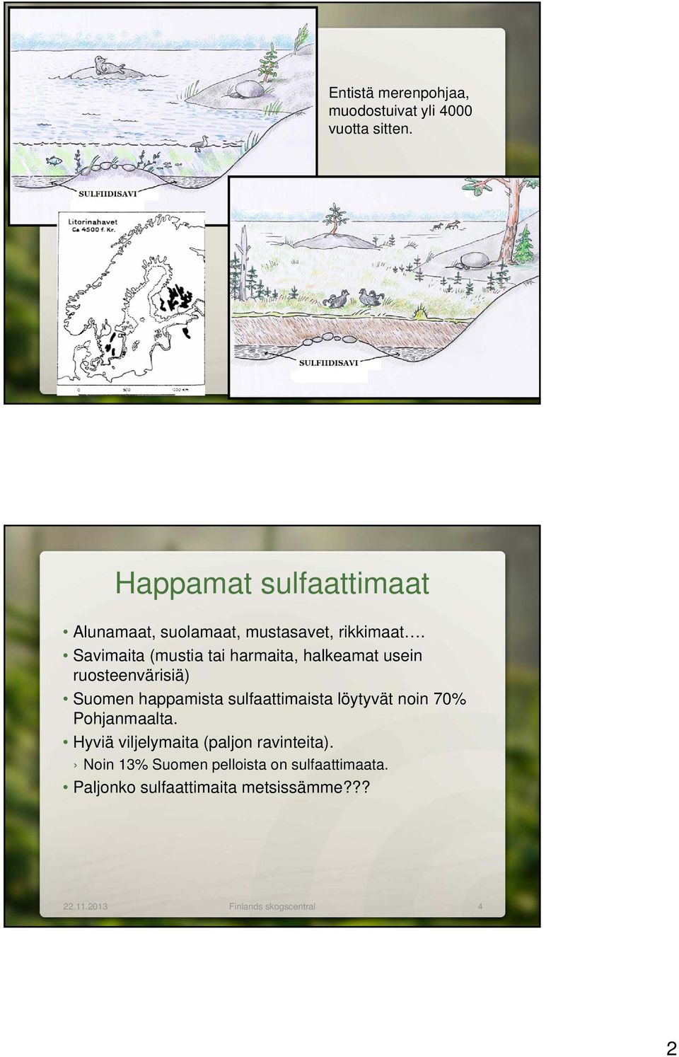 Savimaita (mustia tai harmaita, halkeamat usein ruosteenvärisiä) Suomen happamista sulfaattimaista löytyvät noin