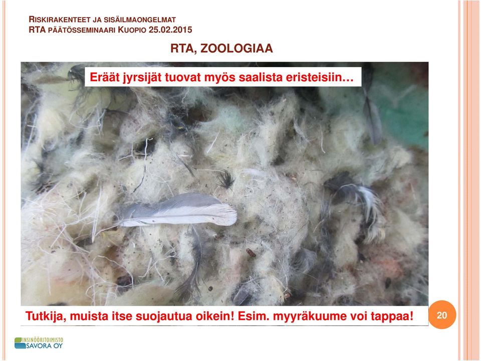 Tutkija, muista itse suojautua