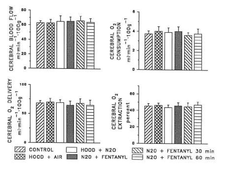 Interaction of fentanyl and N 2 O on peripheral and cerebral