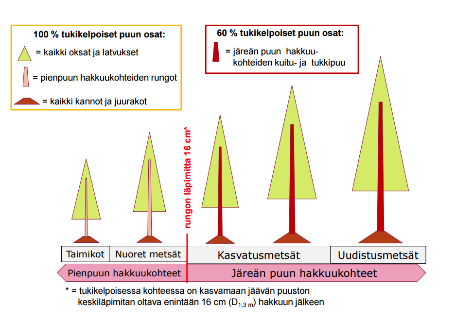 Metsähakkeen tuen rajaaminen Metsähakkeen tuotantotukea maksetaan 60 %, jos metsähake on valmistettu järeän puun