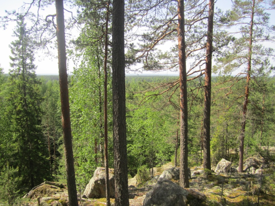 4.7. Lempäälä Lempäälän kunnan alueella kartoitettiin seitsemän jatkotutkimuksiin rajattua kallioaluetta.