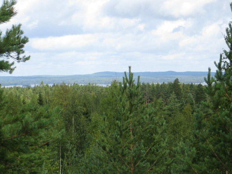 Kuva 8. Korhonsuo, Pälkäne, 12.8.2014 Tiia Kiiski 4.15. Ruovesi Ruoveden kunnan alueella kartoitettiin viisi jatkotutkimuksiin rajattua kallioaluetta.