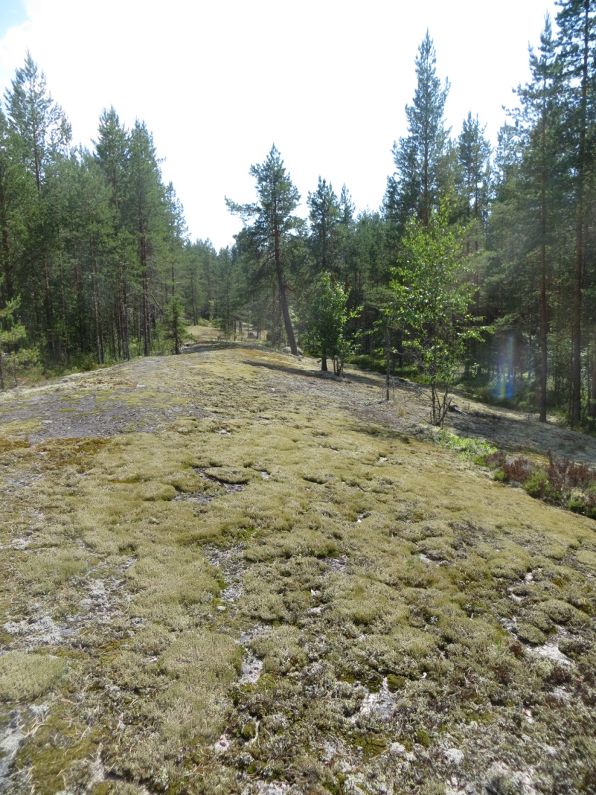 4.21. Virrat Virtain kunnan alueella kartoitettiin 11 jatkotutkimuksiin rajattua kallioaluetta.
