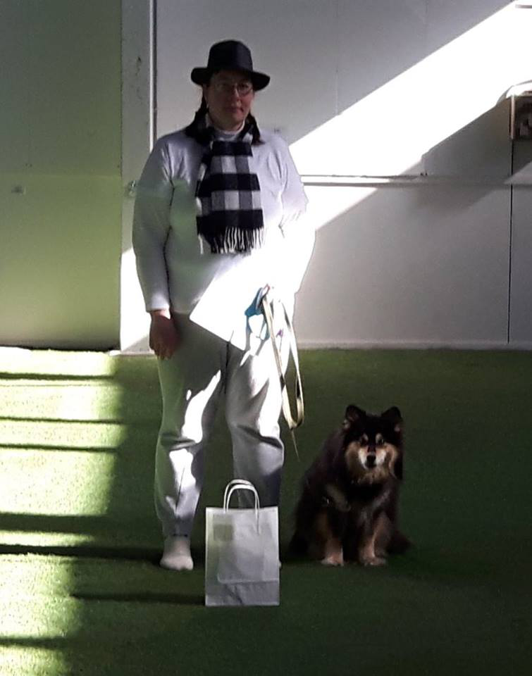 treeniaskeleet tanssin saralla ja vastaikään TuuKKin jäseneksi liittyneellä Reea Salokannalla on kahden labbiksensa Iiron ja Reetan kanssa jo lajista enemmänkin kokemusta entisen seuransa riveissä.