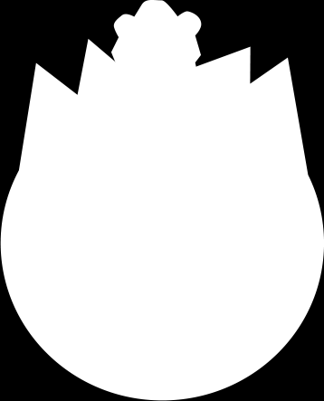 Rajoilla