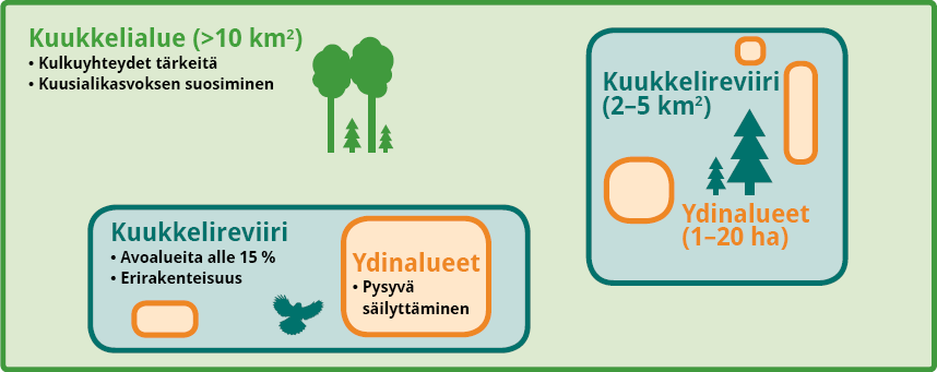 Reviirille ei laajoja tai runsaita avoalueita -> erirakenteiskasvatus yms.