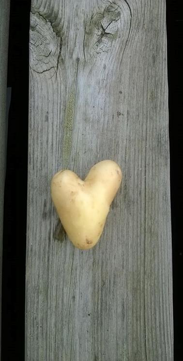 Ruoan valmistus ja osallistaminen Vanhan ajan säilöntää (hillot, hyytelöt, marmeladit) Mehuntekoa matkailijoille Leipää leipomaan maalaistalossa talon tarinaa ja juuren historiaa Kalan käsittelyn