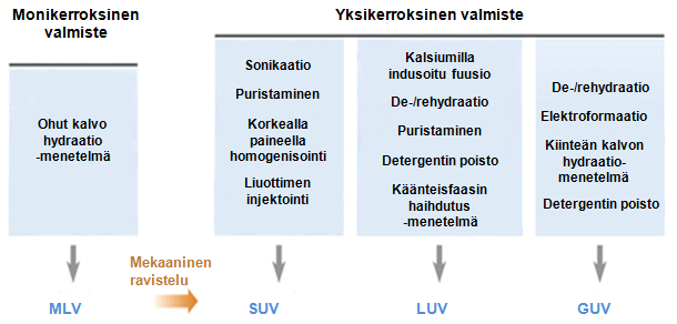 3 LIPOSOMIEN VALMISTUSMENETELMÄT Liposomien valmistamiseen on olemassa useita eri menetelmiä (kuva 6) (Meure ym. 2008).