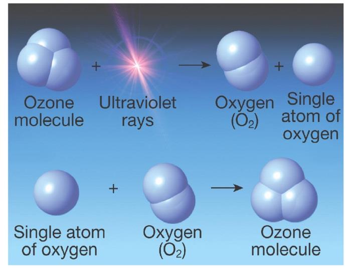 UV-C (100 280 nm): aiheuttaa melanoomaa Mitä lyhyempi aallonpituus, sitä suurempi osa UV:sta imeytyy yläilmakehän otsoniin (O 3 ) Erityisesti bromi, kloori, fluori ja jodi