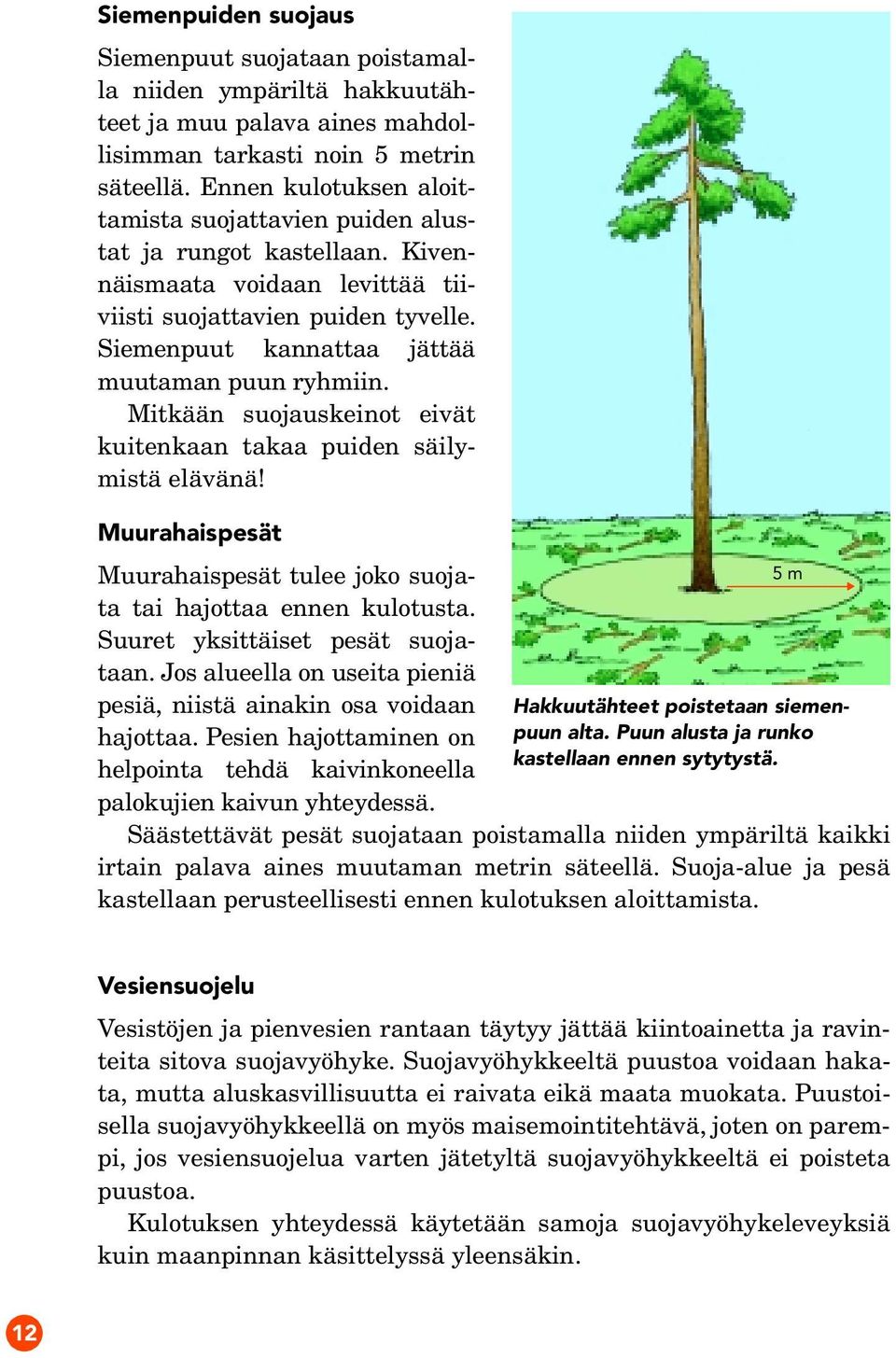 Siemenpuut kannattaa jättää muutaman puun ryhmiin. Mitkään suojauskeinot eivät kuitenkaan takaa puiden säilymistä elävänä!