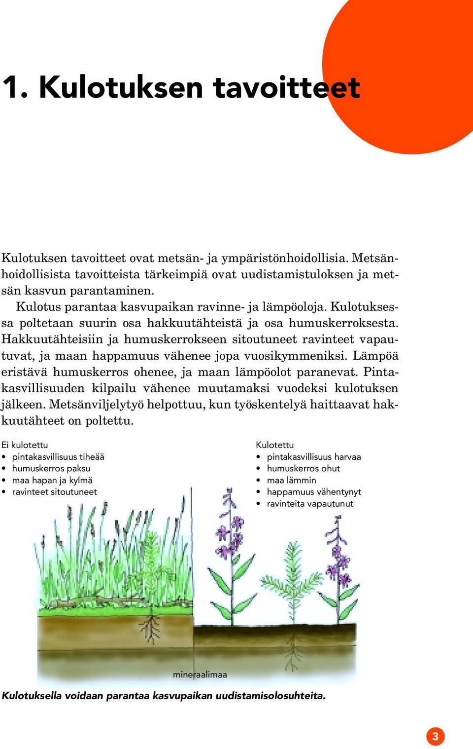 Hakkuutähteisiin ja humuskerrokseen sitoutuneet ravinteet vapautuvat, ja maan happamuus vähenee jopa vuosikymmeniksi. Lämpöä eristävä humuskerros ohenee, ja maan lämpöolot paranevat.