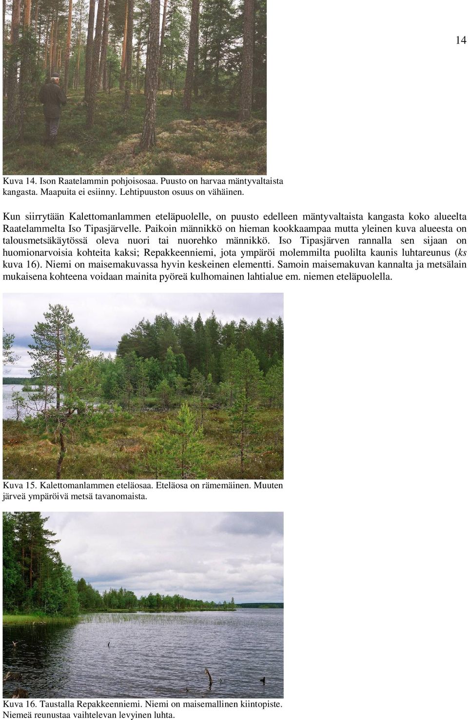 Paikoin männikkö on hieman kookkaampaa mutta yleinen kuva alueesta on talousmetsäkäytössä oleva nuori tai nuorehko männikkö.