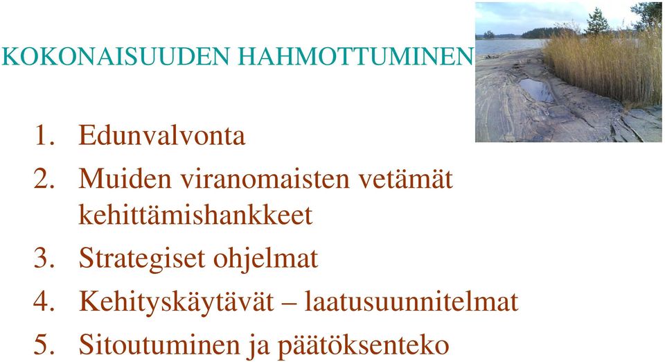 kehittämishankkeet 3. Strategiset ohjelmat 4.