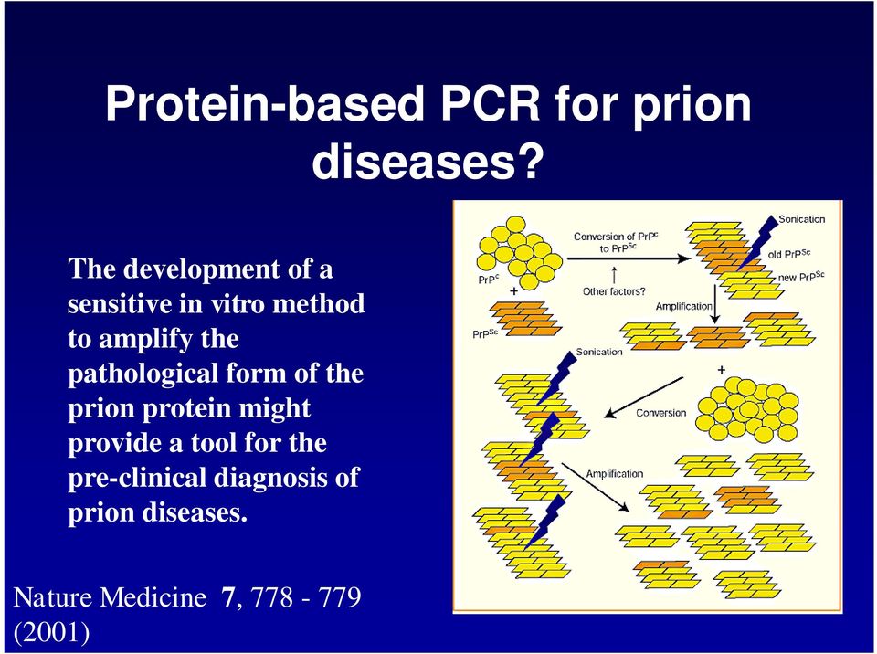 the pathological form of the prion protein might provide a