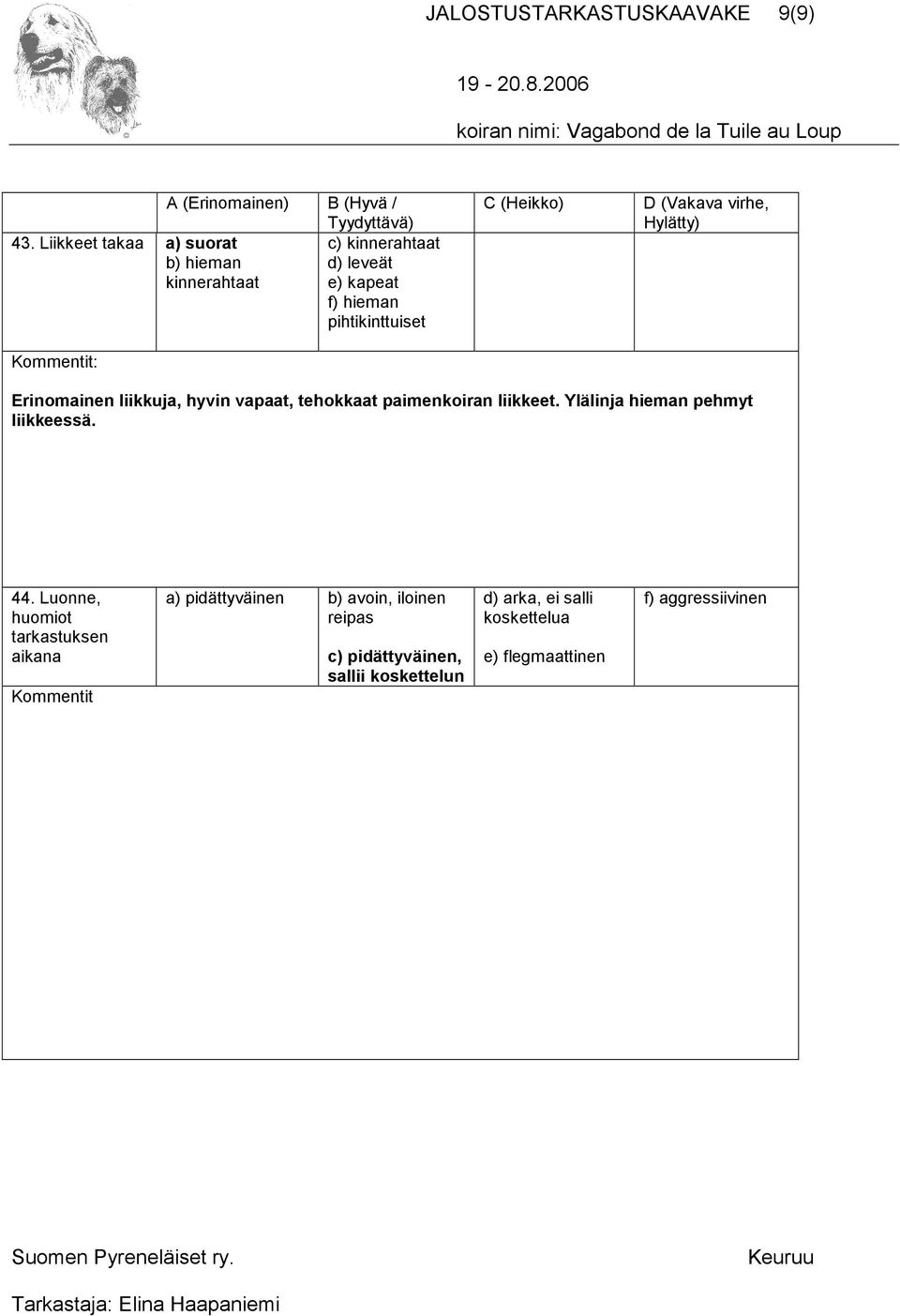 Erinomainen liikkuja, hyvin vapaat, tehokkaat paimenkoiran liikkeet. Ylälinja hieman pehmyt liikkeessä. 44.