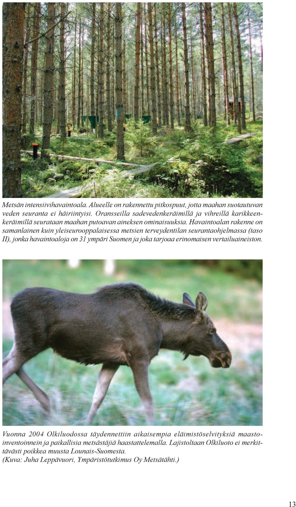 Havaintoalan rakenne on samanlainen kuin yleiseurooppalaisessa metsien terveydentilan seurantaohjelmassa (taso II), jonka havaintoaloja on 31 ympäri Suomen ja joka tarjoaa