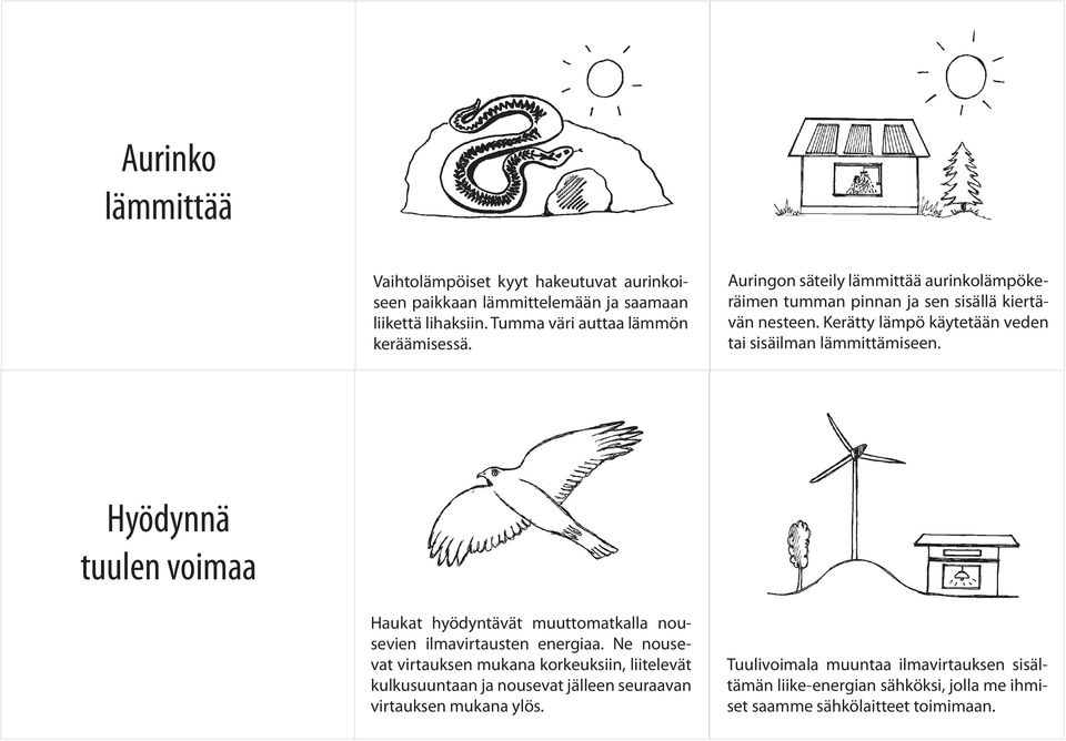 Hyödynnä tuulen voimaa Haukat hyödyntävät muuttomatkalla nousevien ilmavirtausten energiaa.