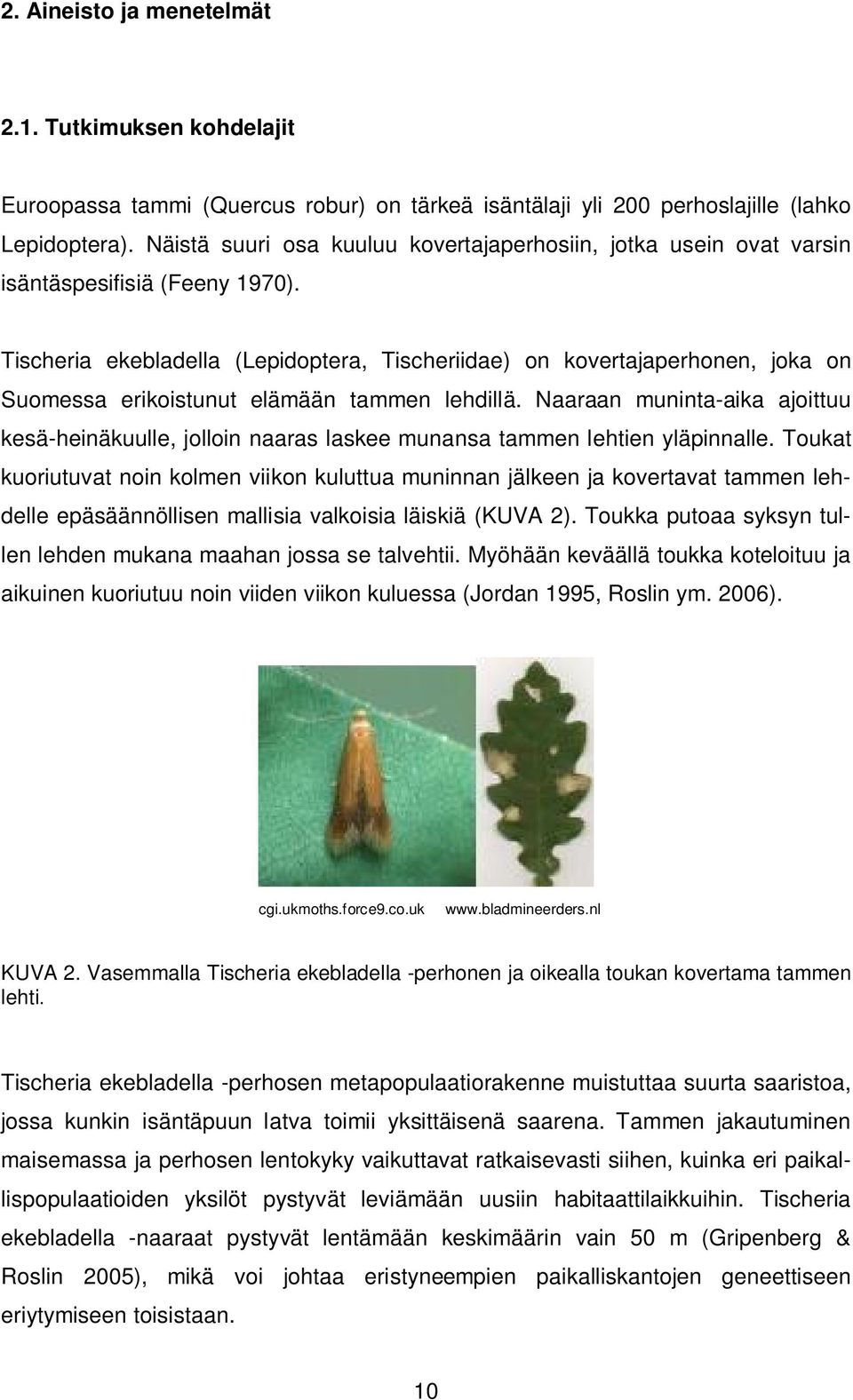 Tischeria ekebladella (Lepidoptera, Tischeriidae) on kovertajaperhonen, joka on Suomessa erikoistunut elämään tammen lehdillä.
