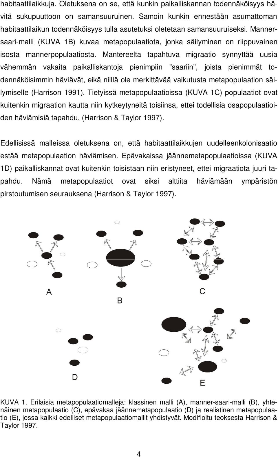 Mannersaari-malli (KUVA 1B) kuvaa metapopulaatiota, jonka säilyminen on riippuvainen isosta mannerpopulaatiosta.