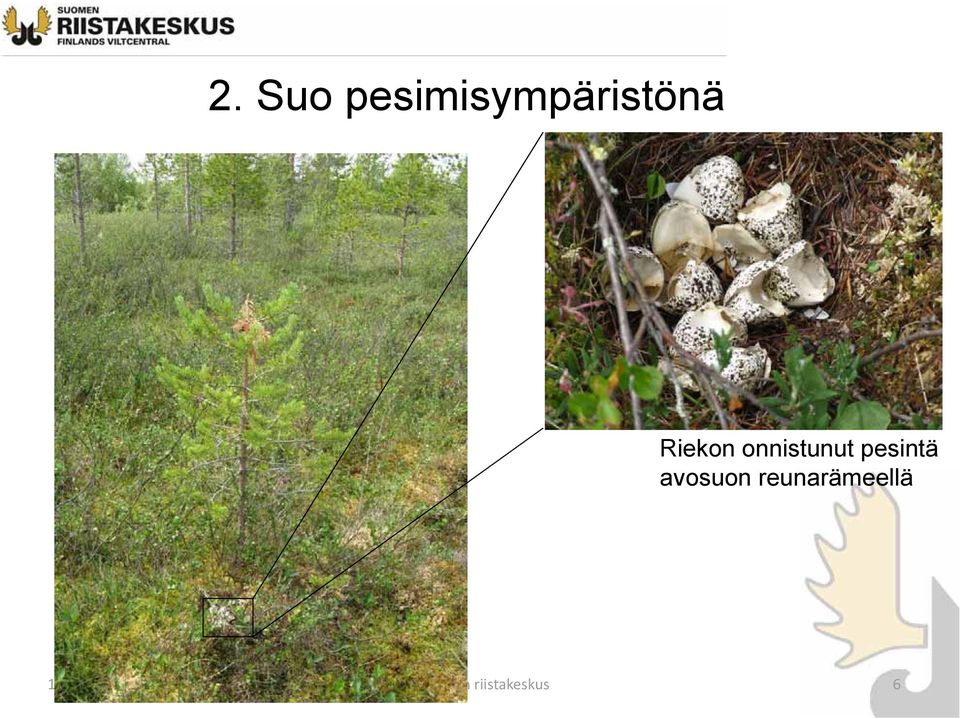 avosuon reunarämeellä 18.