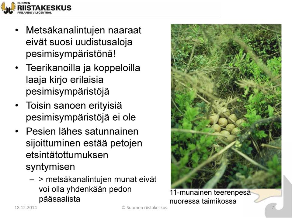 pesimisympäristöjä ei ole Pesien lähes satunnainen sijoittuminen estää petojen etsintätottumuksen