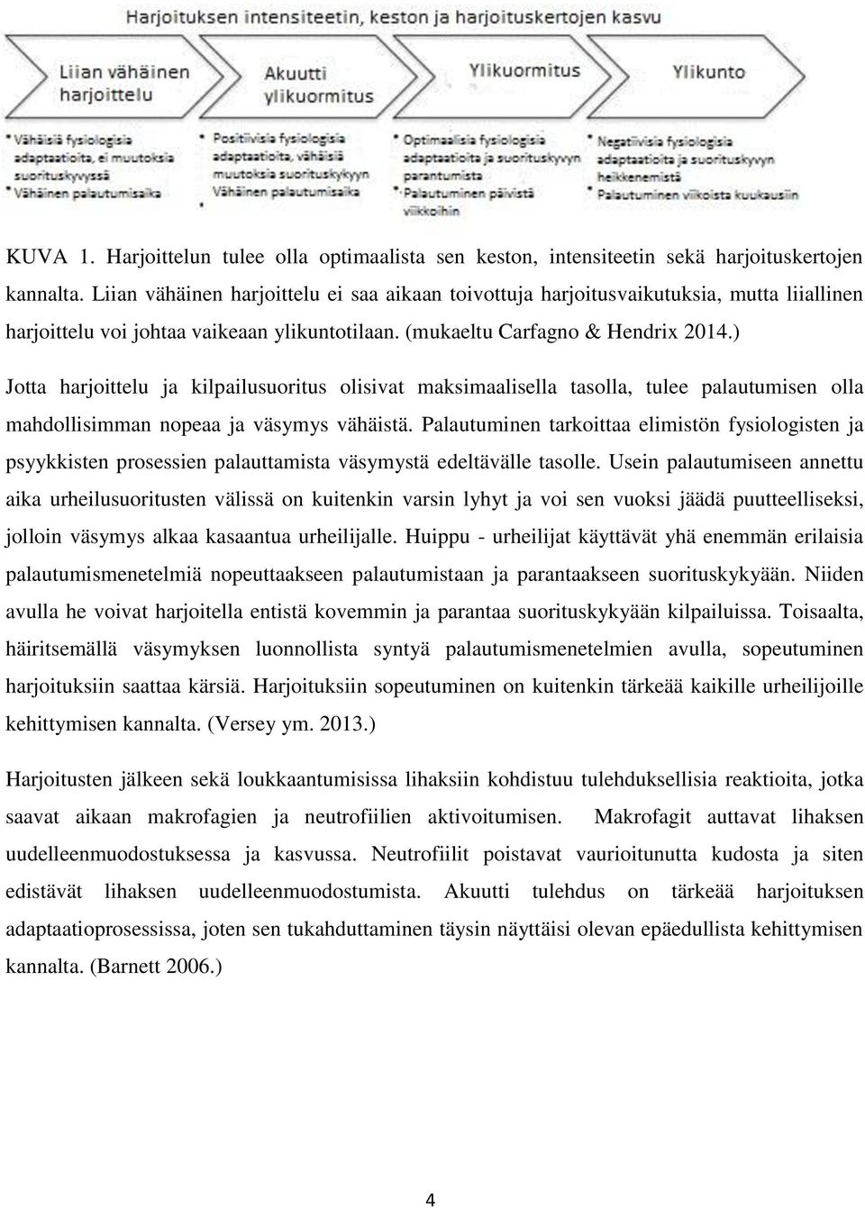 ) Jotta harjoittelu ja kilpailusuoritus olisivat maksimaalisella tasolla, tulee palautumisen olla mahdollisimman nopeaa ja väsymys vähäistä.