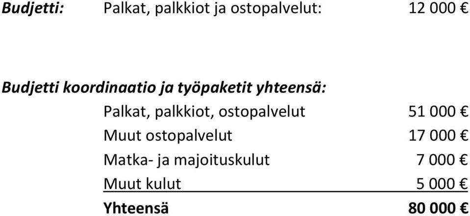 palkkiot, ostopalvelut 51 000 Muut ostopalvelut 17 000