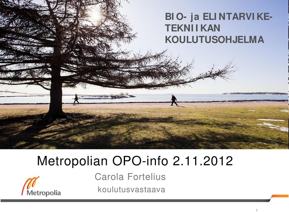 Metropolian OPO-info 2.11.