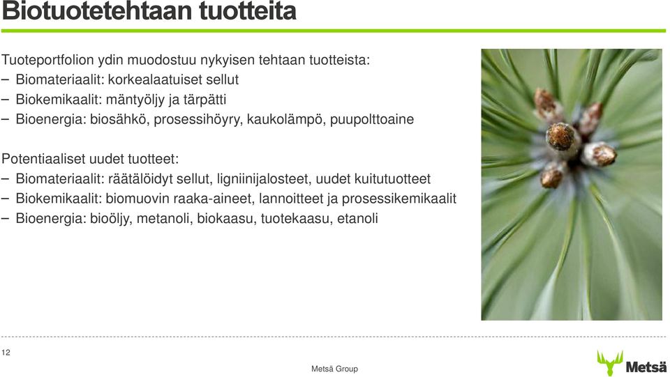 puupolttoaine Potentiaaliset uudet tuotteet: Biomateriaalit: räätälöidyt sellut, ligniinijalosteet, uudet