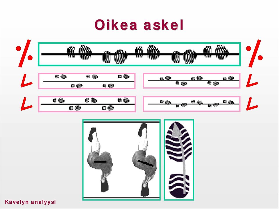 Oikea