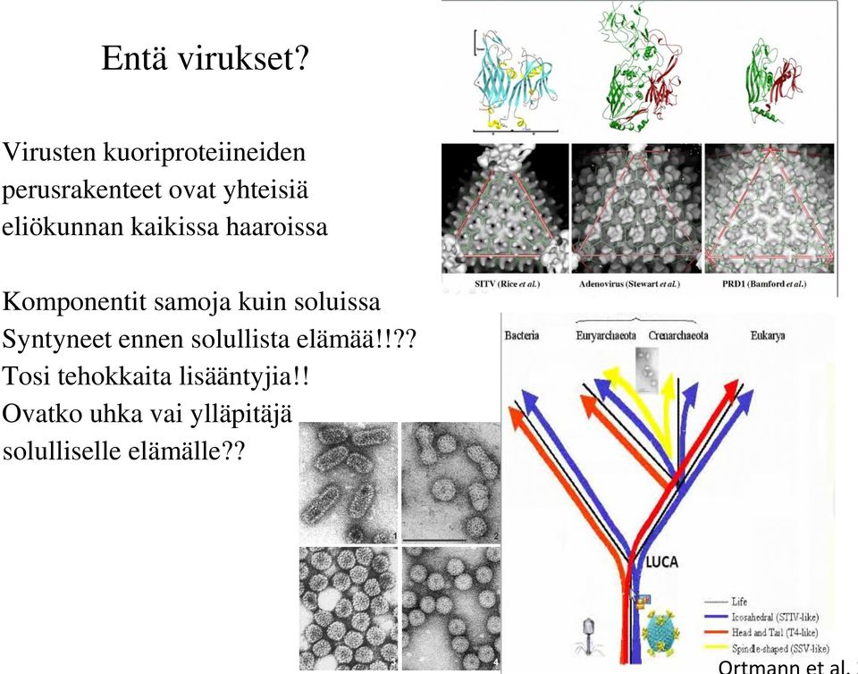 eliökunnan kaikissa haaroissa Komponentit samoja kuin soluissa