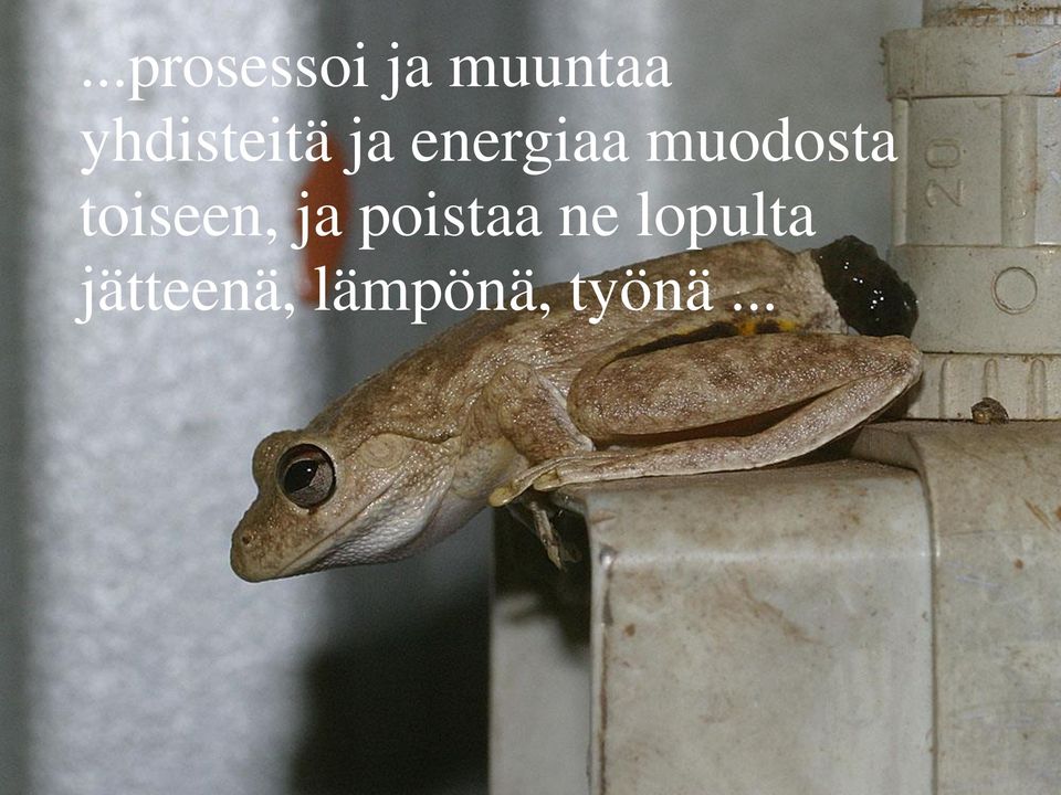 muodosta toiseen, ja poistaa