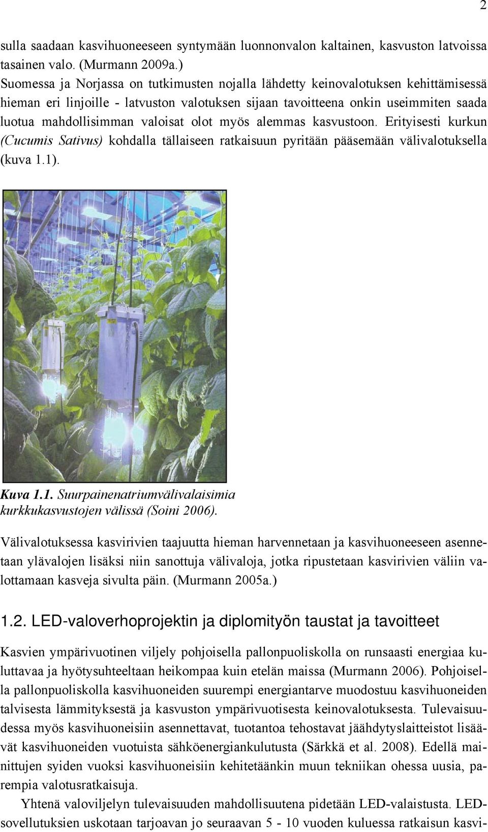 valoisat olot myös alemmas kasvustoon. Erityisesti kurkun (Cucumis Sativus) kohdalla tällaiseen ratkaisuun pyritään pääsemään välivalotuksella (kuva 1.