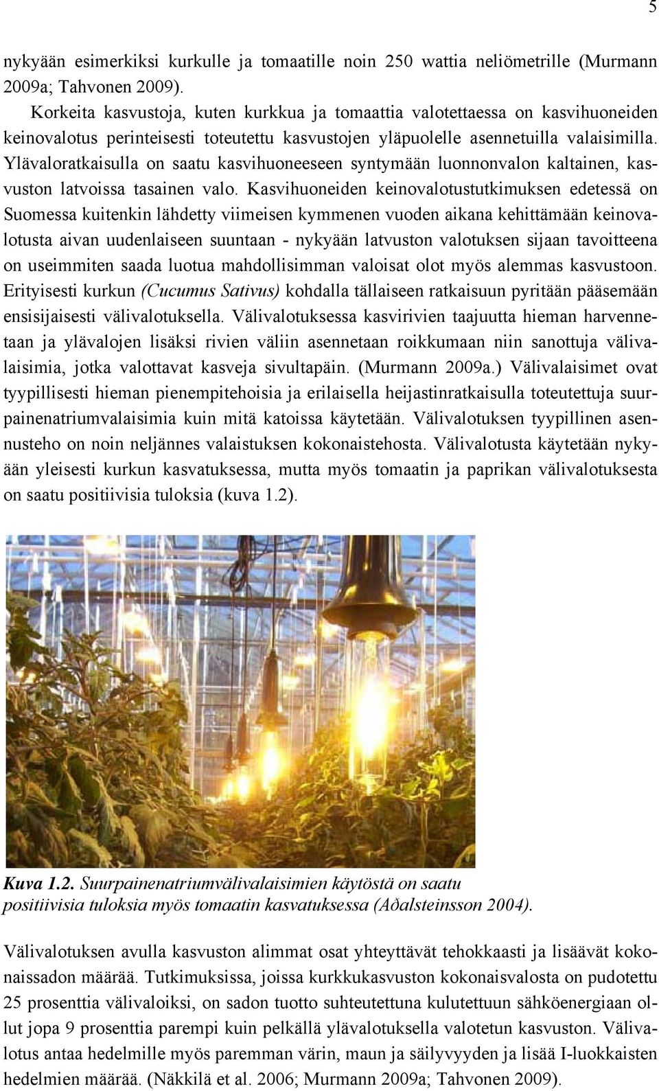 Ylävaloratkaisulla on saatu kasvihuoneeseen syntymään luonnonvalon kaltainen, kasvuston latvoissa tasainen valo.