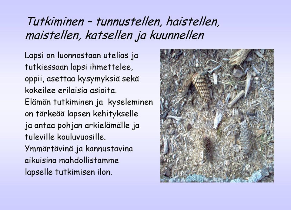 Elämän tutkiminen ja kyseleminen on tärkeää lapsen kehitykselle ja antaa pohjan arkielämälle ja