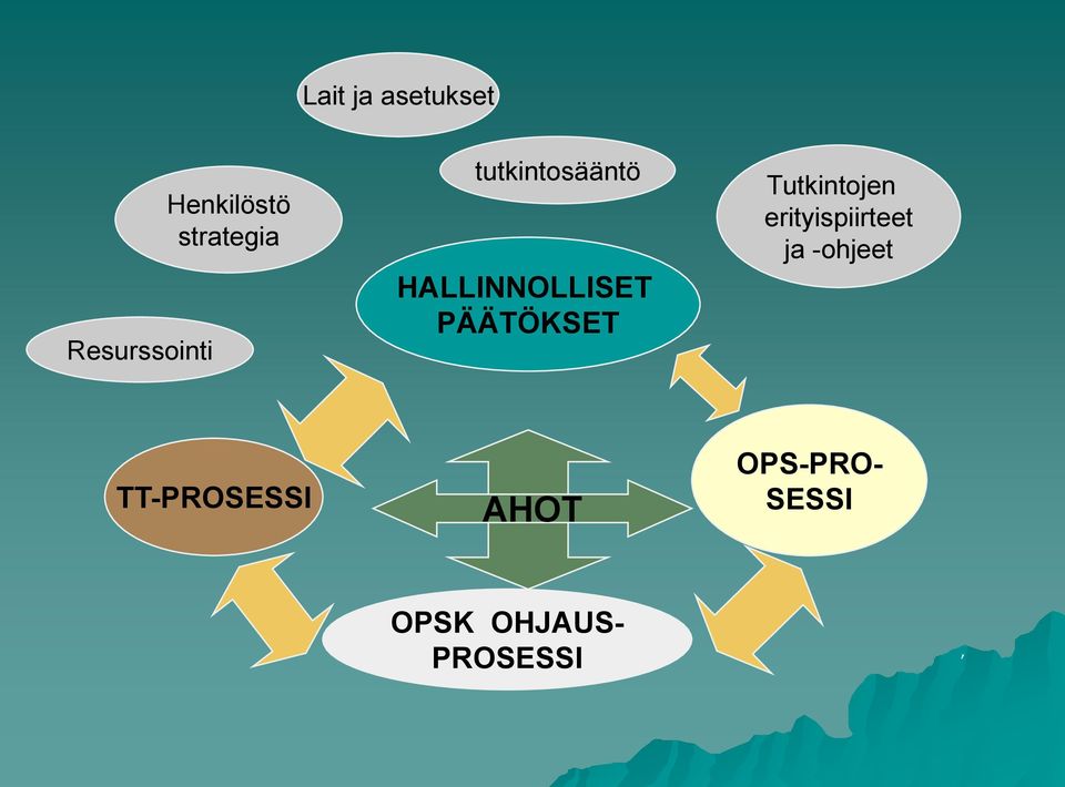 PÄÄTÖKSET Tutkintojen erityispiirteet ja