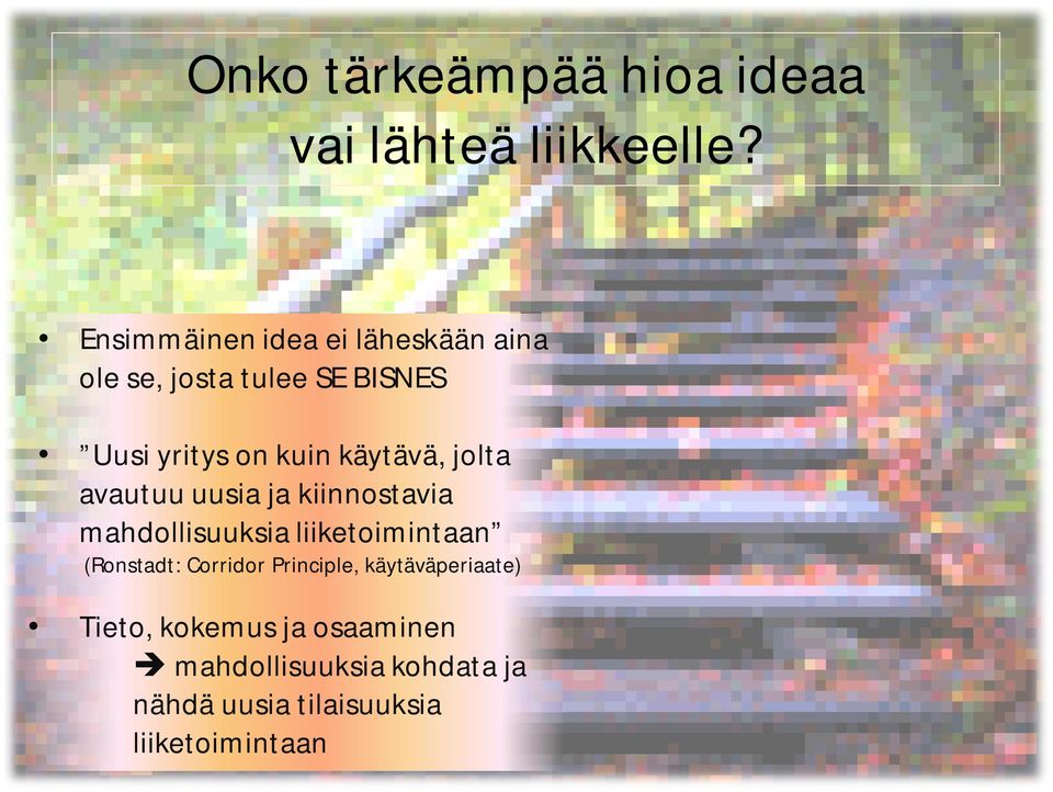 käytävä, jolta avautuu uusia ja kiinnostavia mahdollisuuksia liiketoimintaan (Ronstadt: