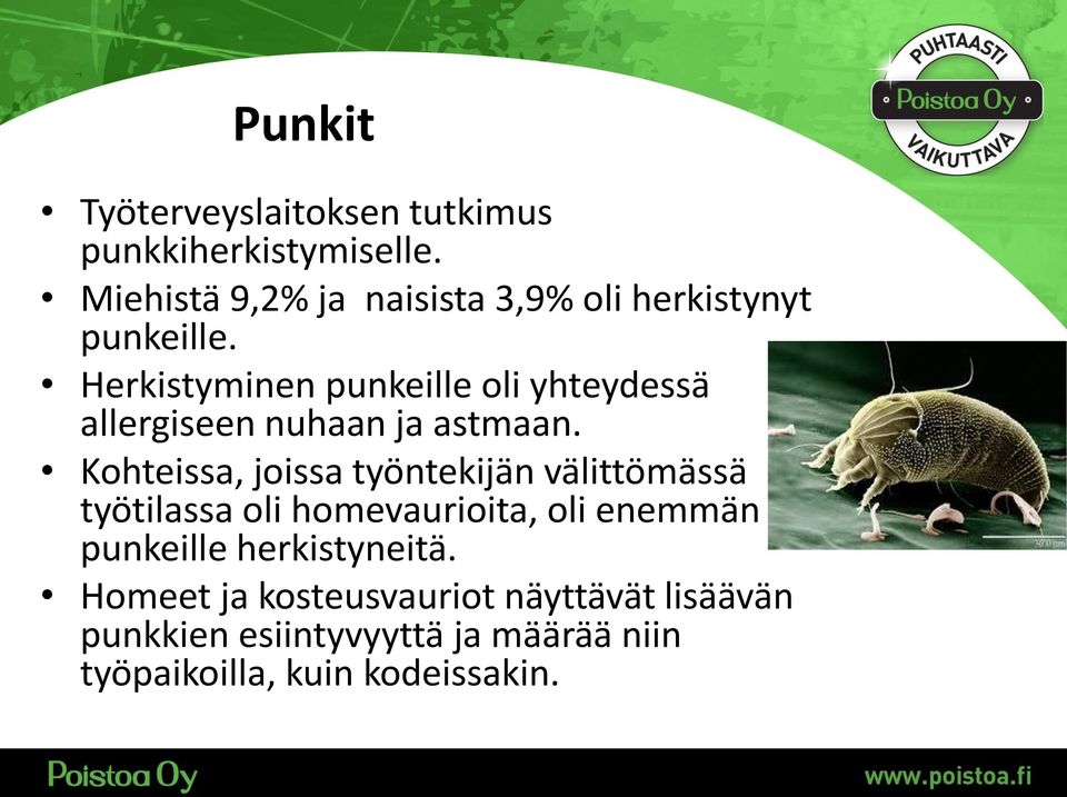 Herkistyminen punkeille oli yhteydessä allergiseen nuhaan ja astmaan.