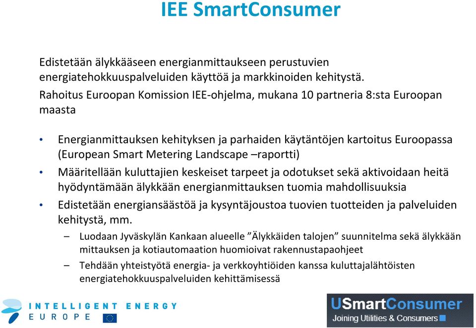 raportti) Määritellään kuluttajien keskeiset tarpeet ja odotukset sekä aktivoidaan heitä hyödyntämään älykkään energianmittauksen tuomia mahdollisuuksia Edistetään energiansäästöä ja kysyntäjoustoa