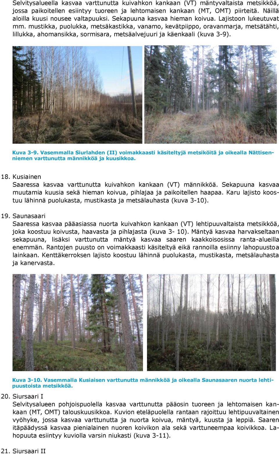 mustikka, puolukka, metsäkastikka, vanamo, kevätpiippo, oravanmarja, metsätähti, lillukka, ahomansikka, sormisara, metsäalvejuuri ja käenkaali (kuva 3-9). Kuva 3-9.