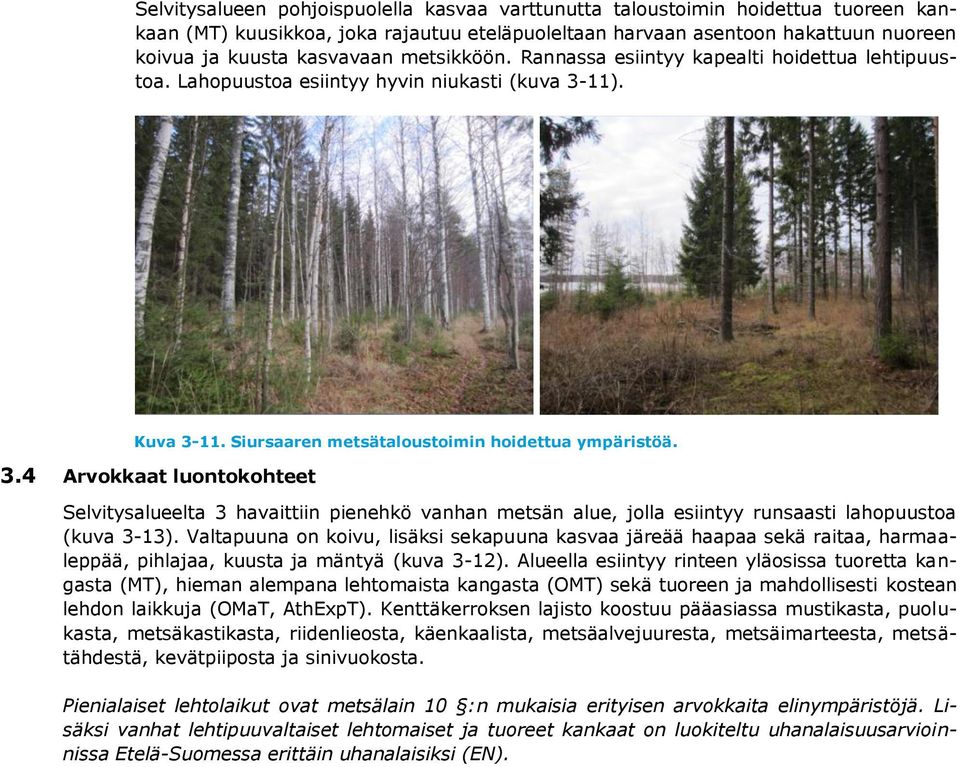 11). Kuva 3-11. Siursaaren metsätaloustoimin hoidettua ympäristöä. 3.4 Arvokkaat luontokohteet Selvitysalueelta 3 havaittiin pienehkö vanhan metsän alue, jolla esiintyy runsaasti lahopuustoa (kuva 3-13).