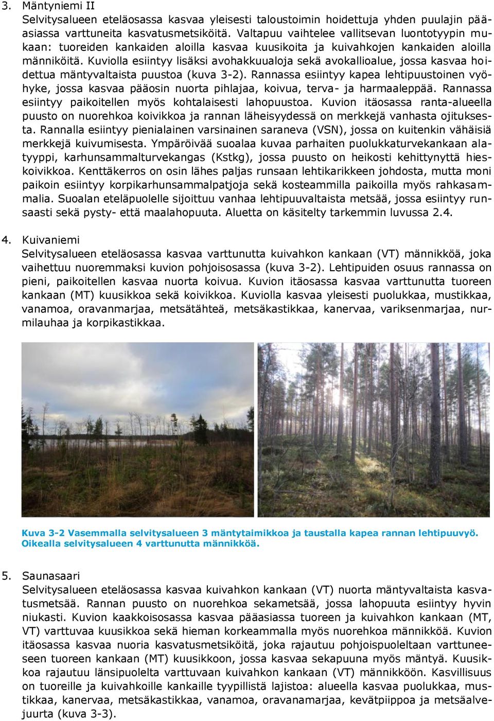 Kuviolla esiintyy lisäksi avohakkuualoja sekä avokallioalue, jossa kasvaa hoidettua mäntyvaltaista puustoa (kuva 3-2).