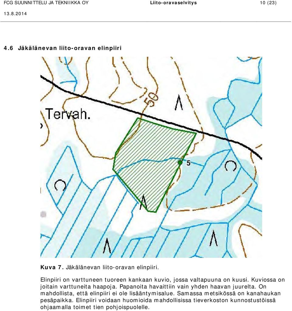 Kuviossa on joitain varttuneita haapoja. Papanoita havaittiin vain yhden haavan juurelta.