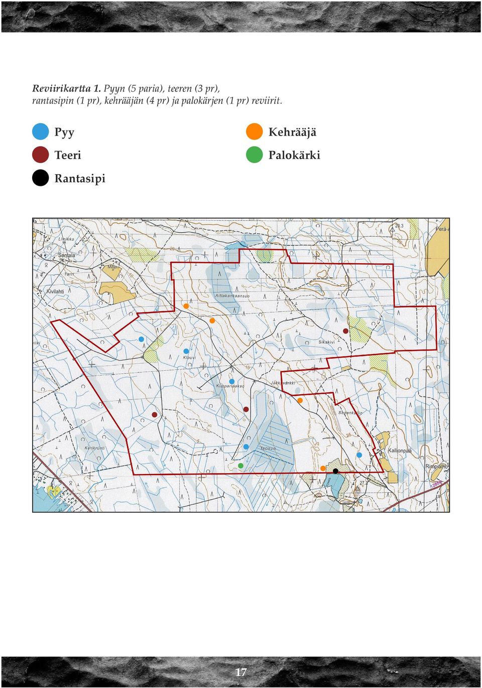 rantasipin (1 pr), kehrääjän (4 pr) ja