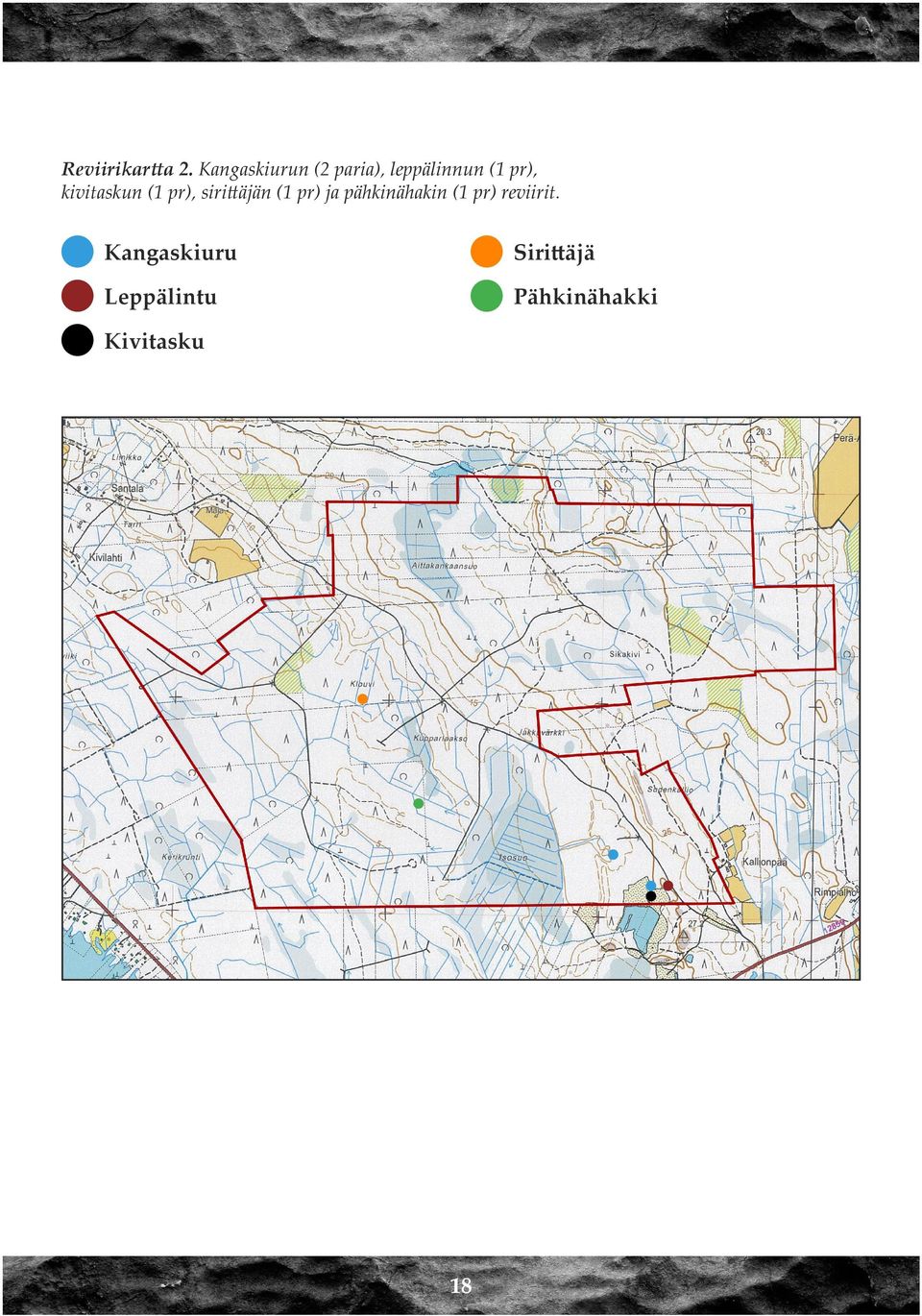 kivitaskun (1 pr), sirittäjän (1 pr) ja