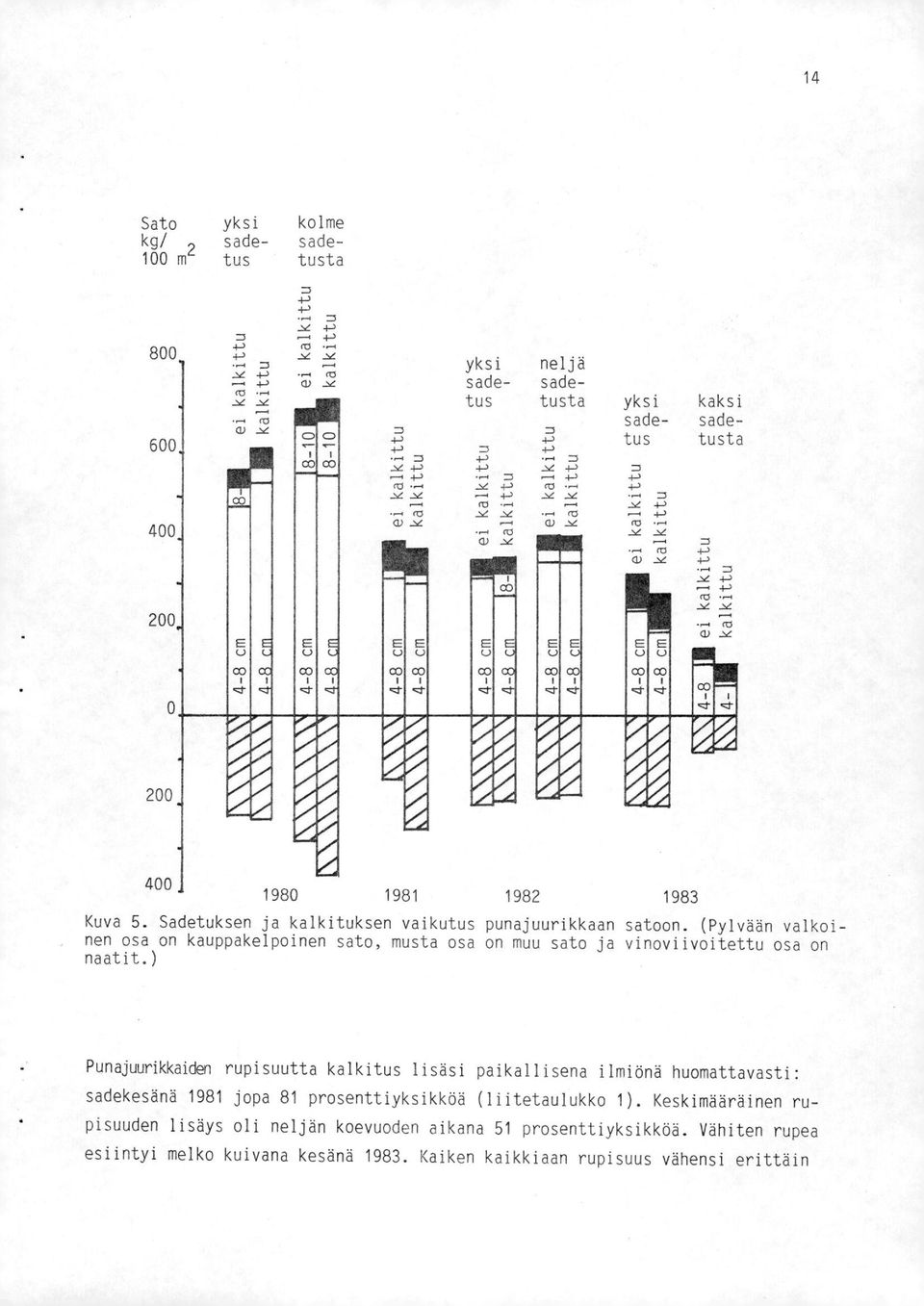 400. 1980 1981 1982 1983 Kuva 5. Sadetuksen ja kalkituksen vaikutus punajuurikkaan satoon. (Pylvään valkoinen osa on kauppakelpoinen sato, musta osa on muu sato ja vinoviivoitettu osa on naatit.