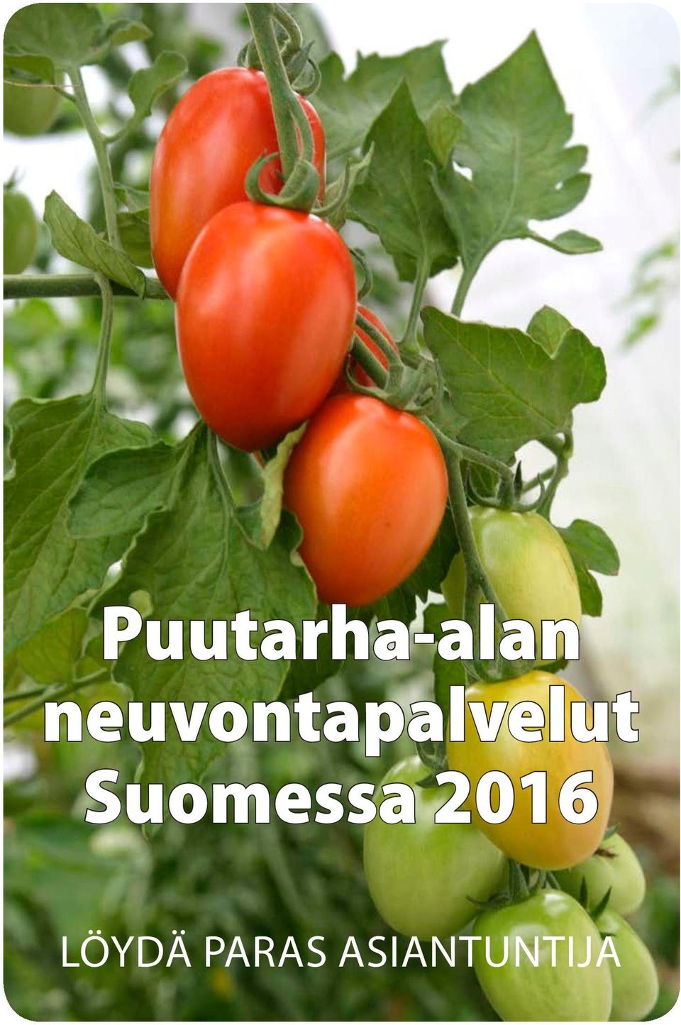 Suomessa 2016