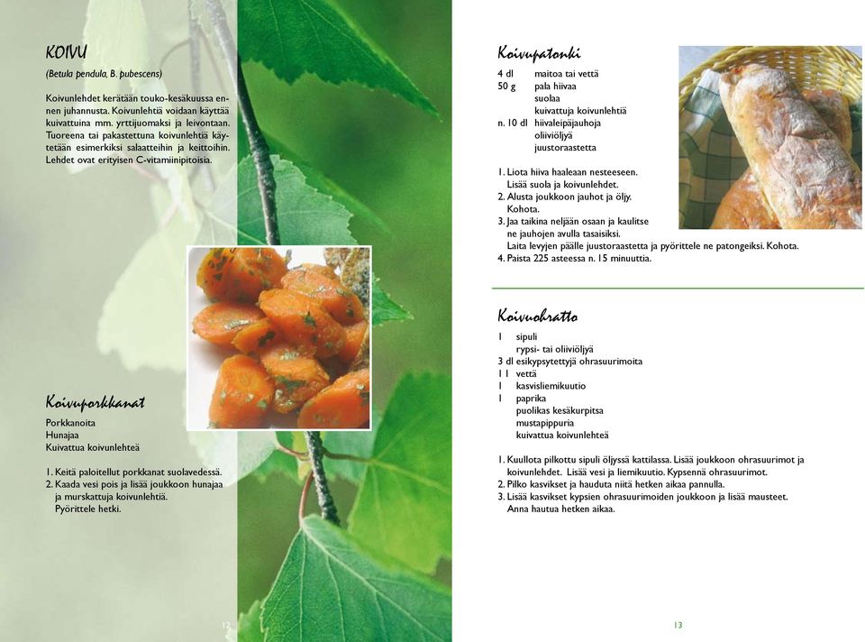 Koivupatonki 4 dl maitoa tai vettä 50 g pala hiivaa suolaa kuivattuja koivunlehtiä n. 10 dl hiivaleipäjauhoja oliiviöljyä juustoraastetta 1. Liota hiiva haaleaan nesteeseen.